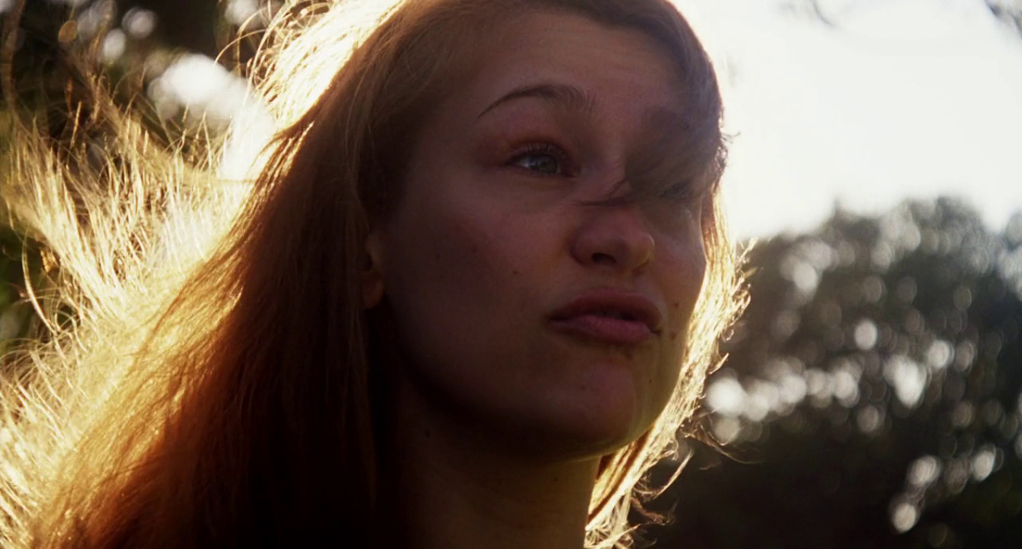Inherent Vice