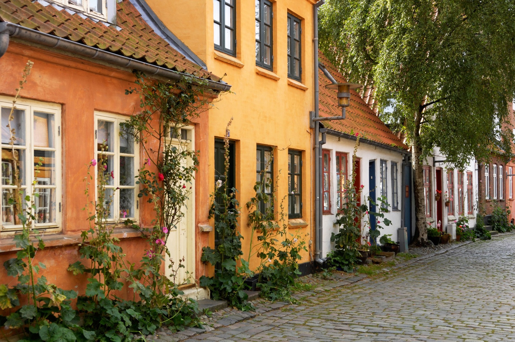 Denmark Denmark