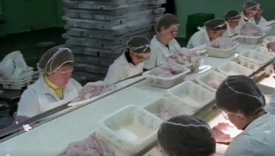 Les femmes aux filets