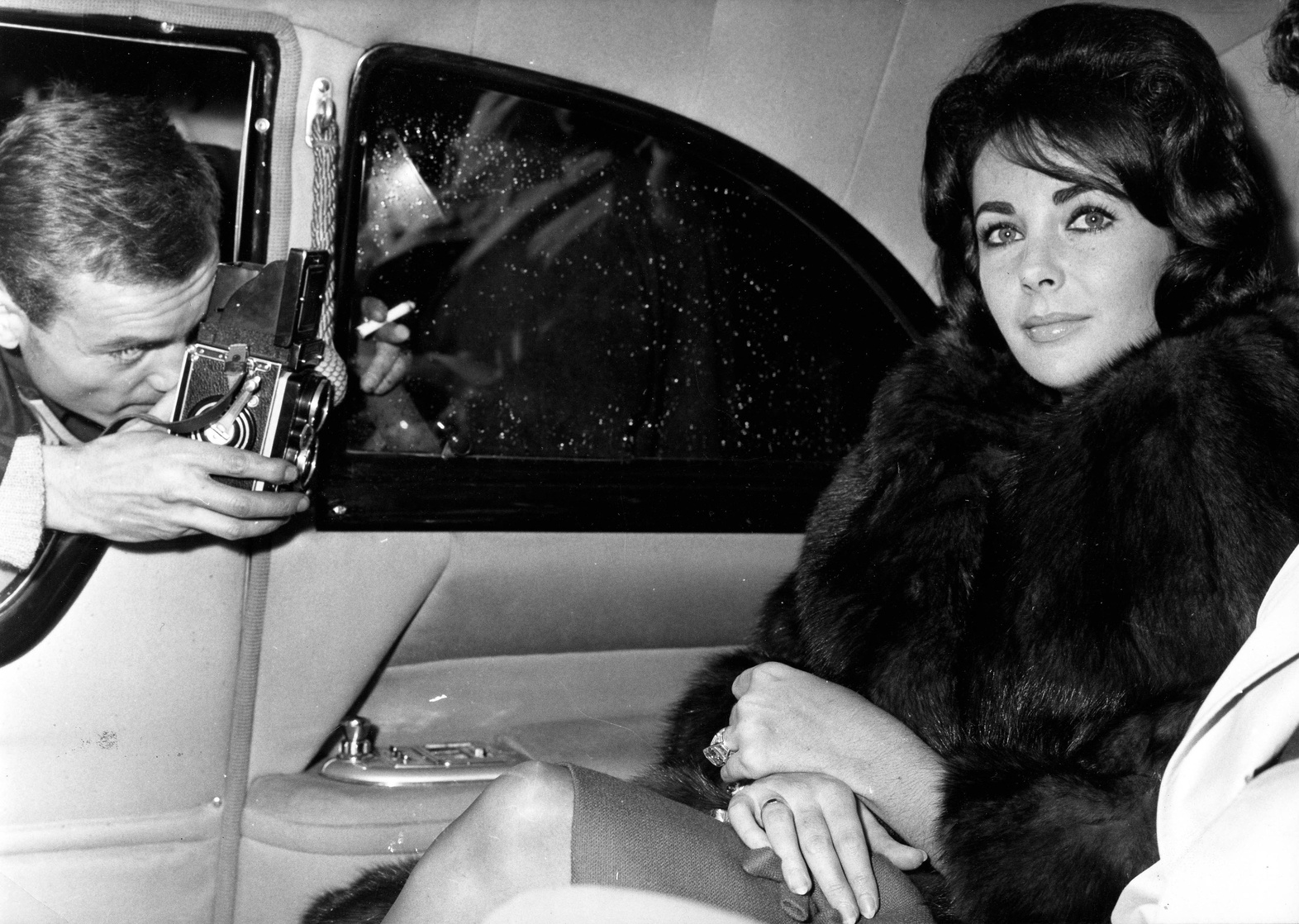 Elizabeth Taylor Elizabeth Taylor