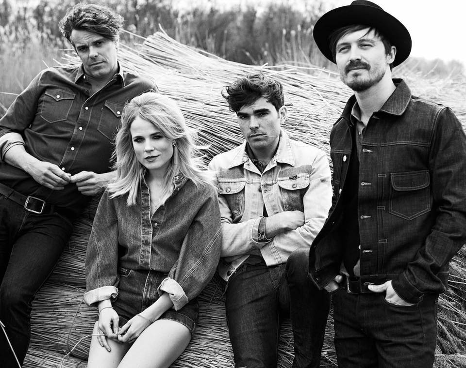 The Common Linnets