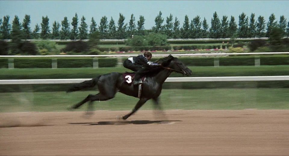 The Black Stallion The Black Stallion