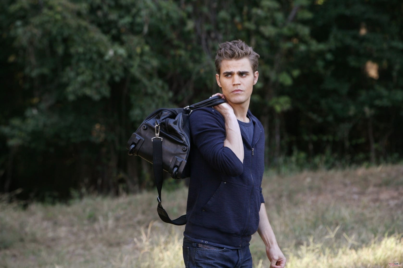 Paul Wesley picture