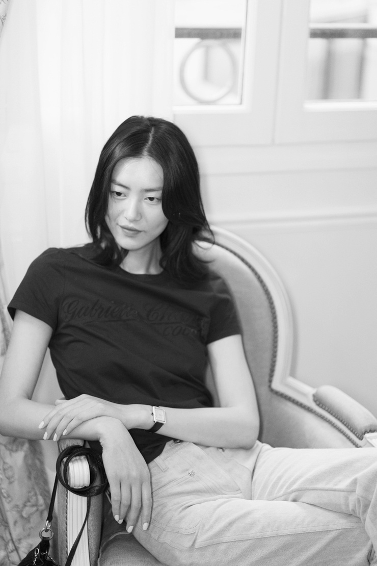 Picture of Liu Wen