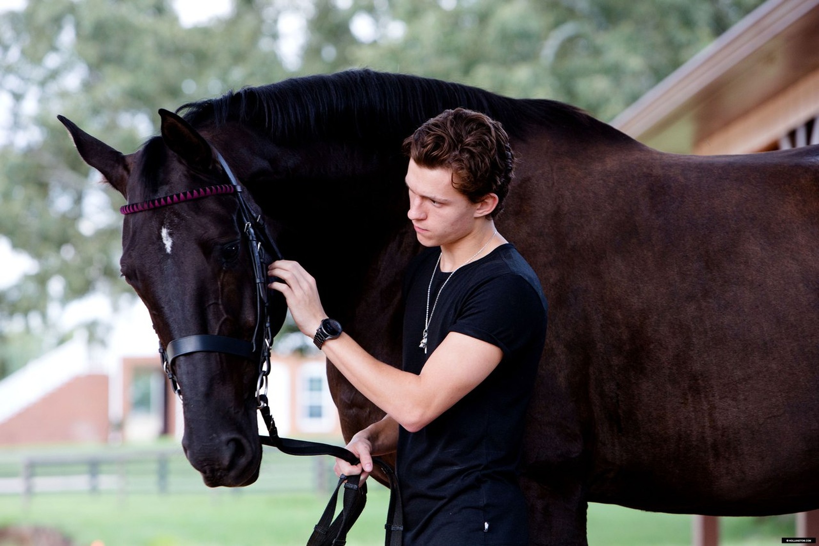 Tom Holland
