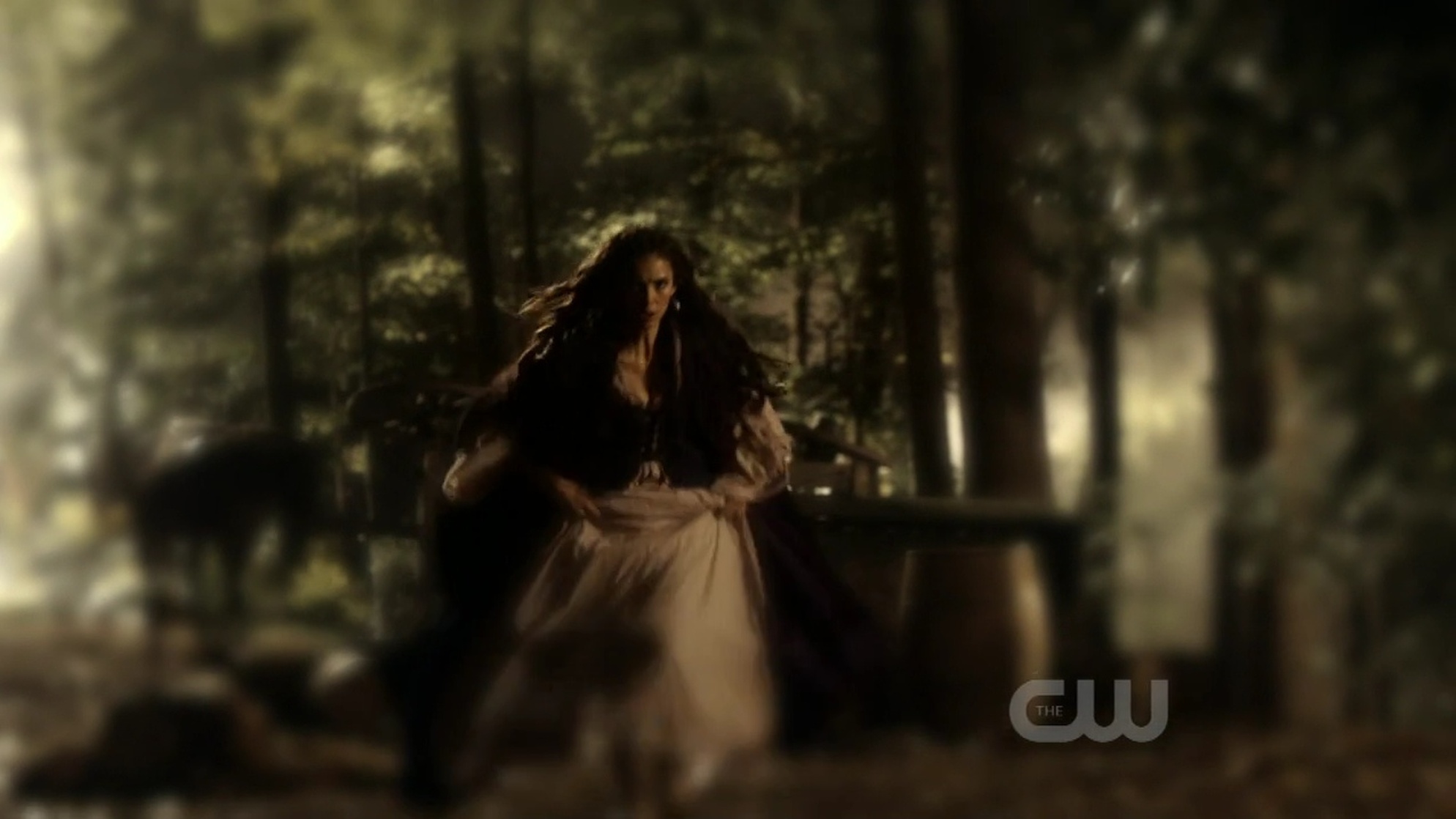 The Vampire Diaries