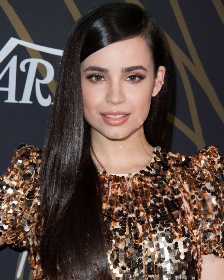 picture sofia carson picture sofia carson