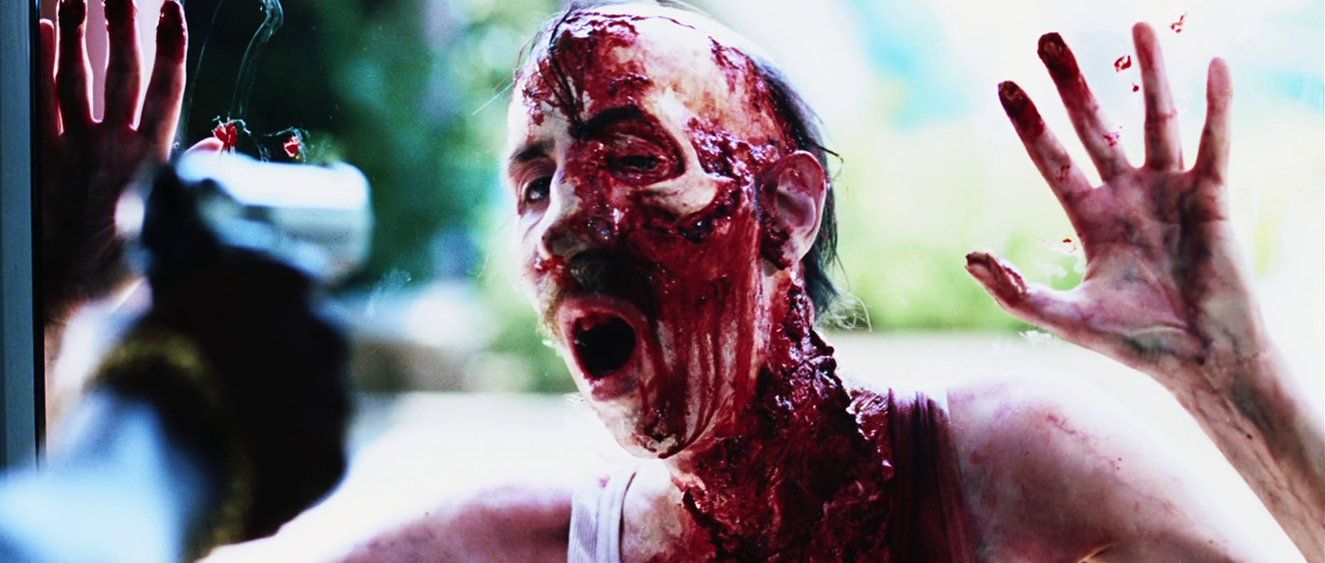 Dawn of the Dead
