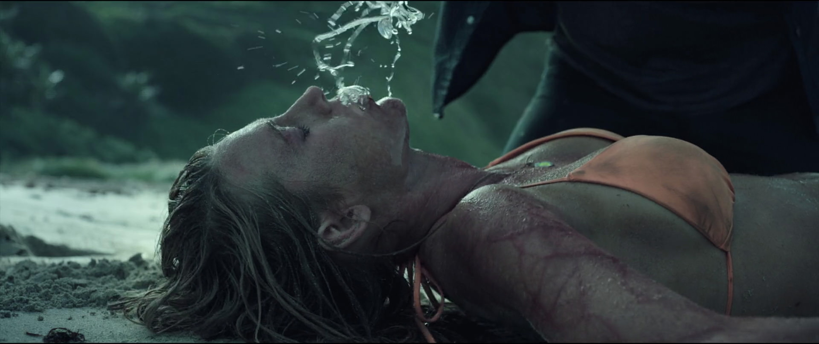 The Shallows