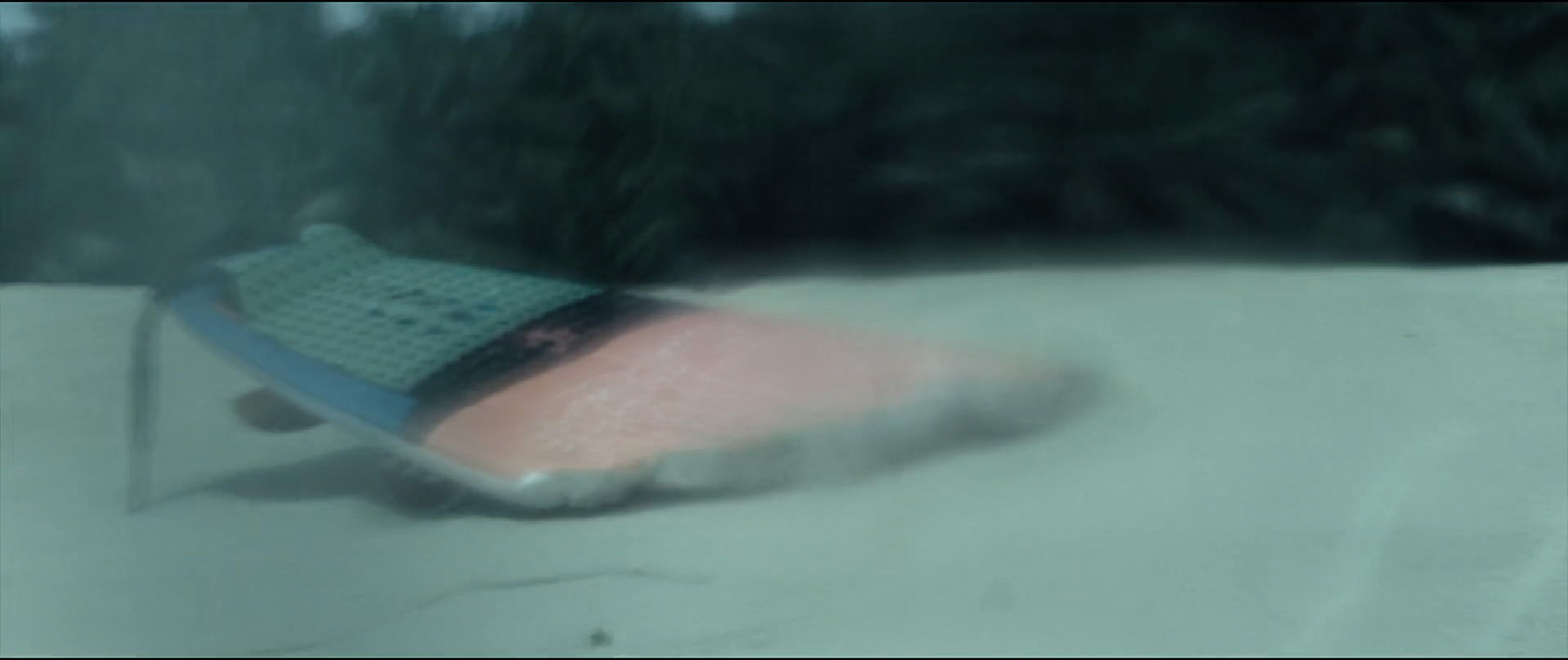 The Shallows