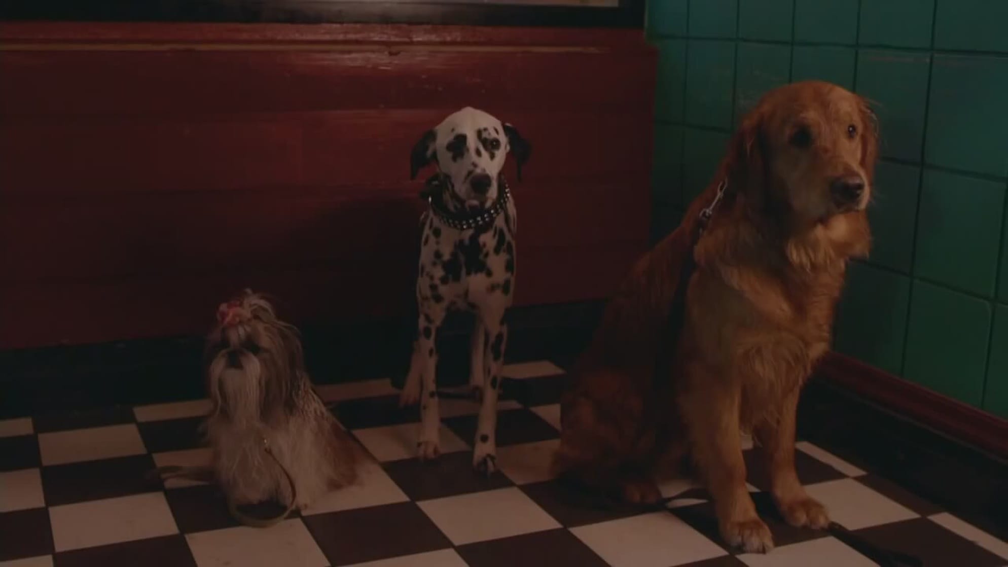 My Boyfriends' Dogs                                  (2014)