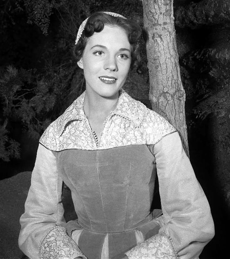 Picture Of Julie Andrews 9184