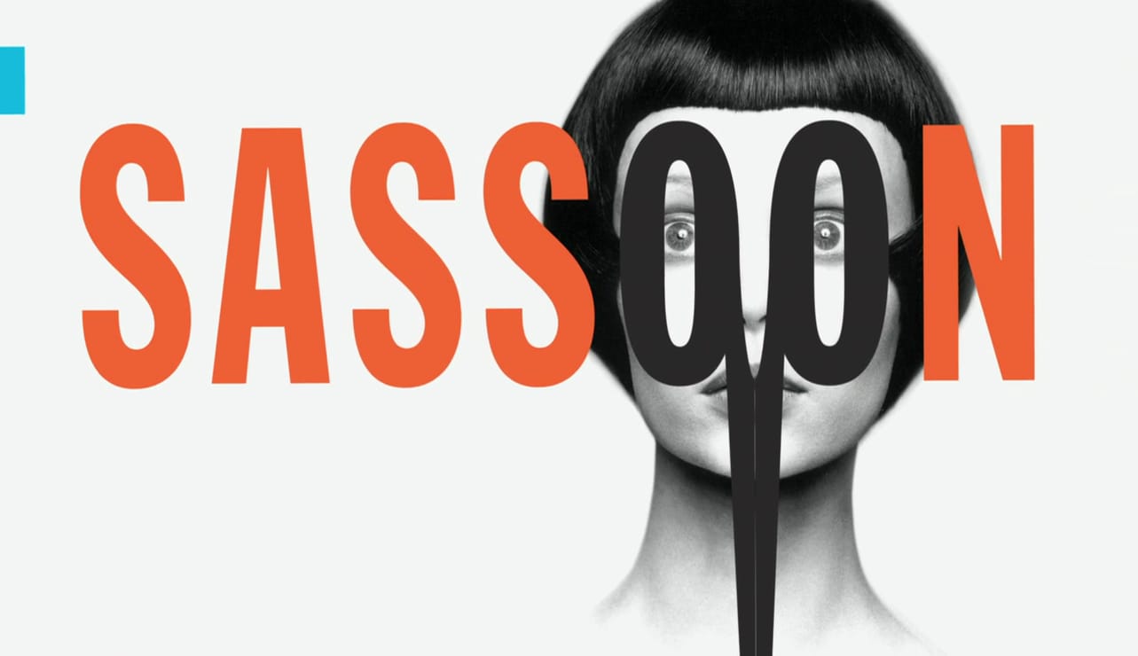 Picture Of Vidal Sassoon The Movie