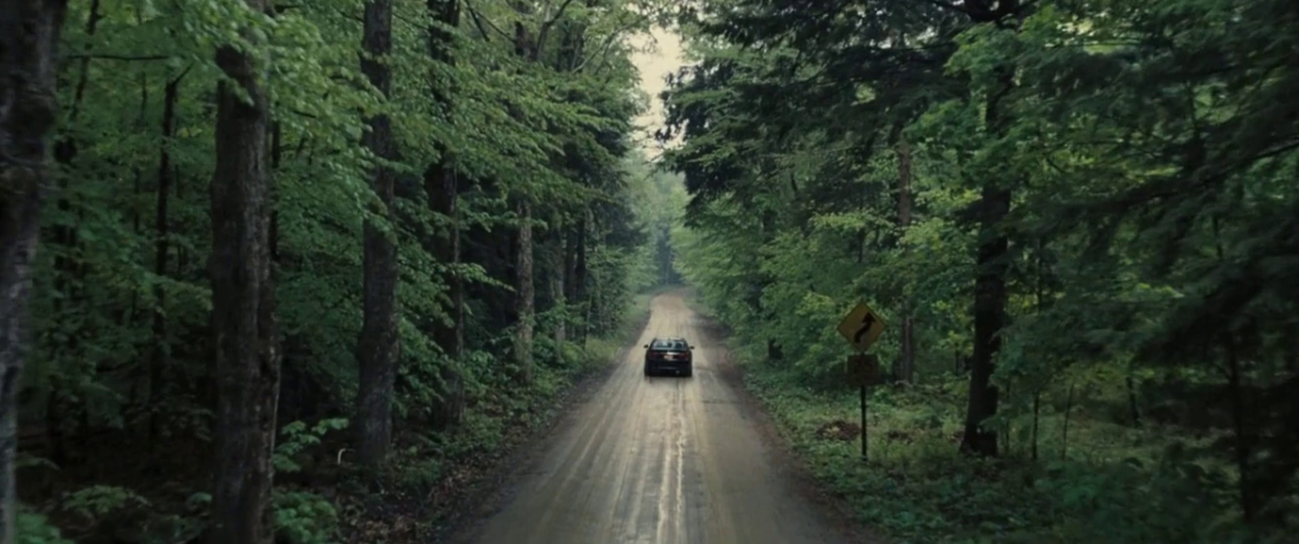 Picture Of The Place Beyond The Pines