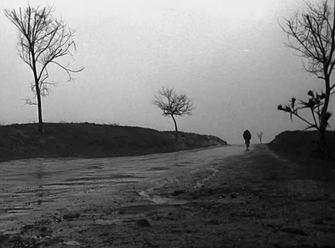 Death of a Cyclist
