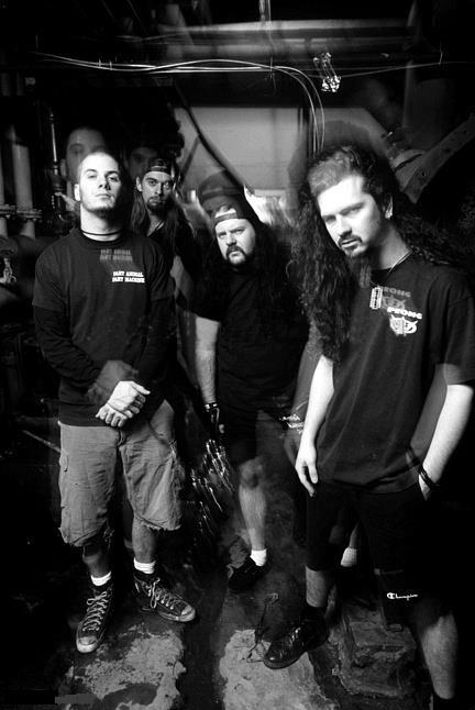 Picture of Pantera