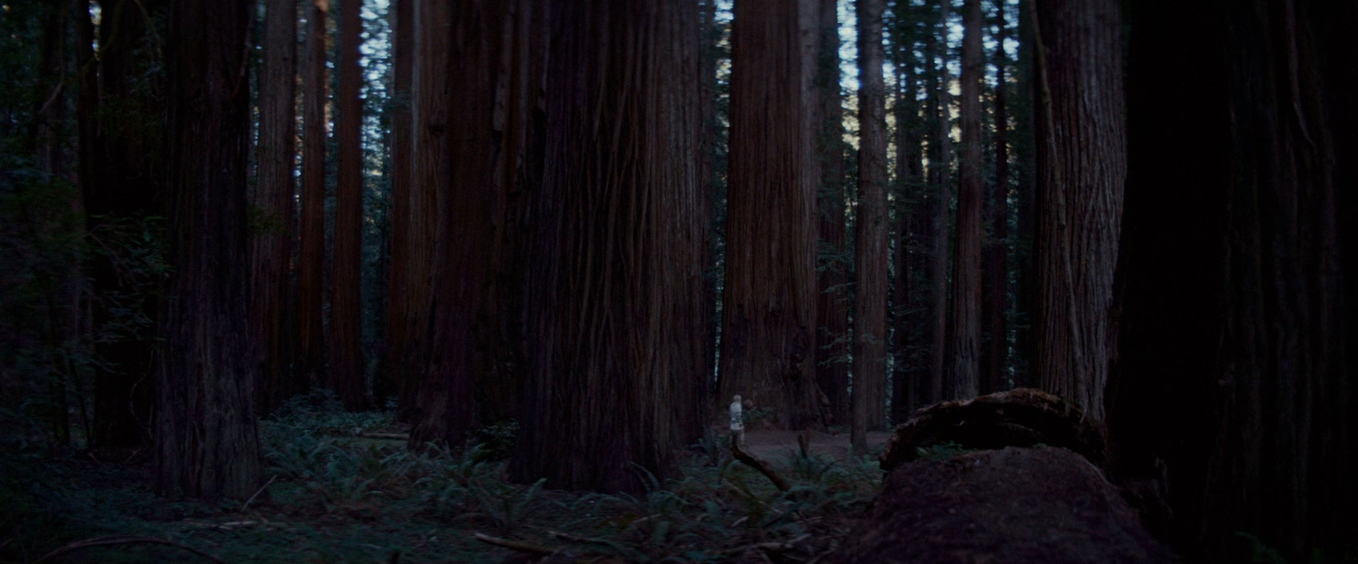 Woodshock