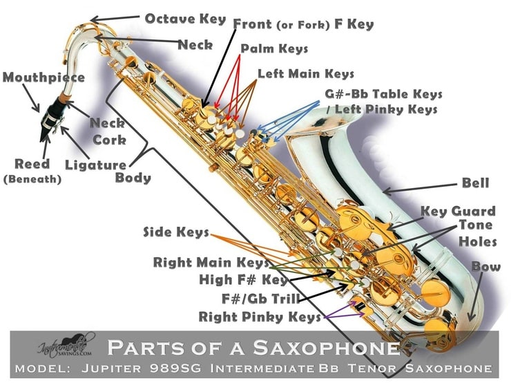 Почему саксофон. Строение саксофона Альта. Устройство саксофона тенор. Схема саксофона Альт. Саксофон Альт тенор кнопки.