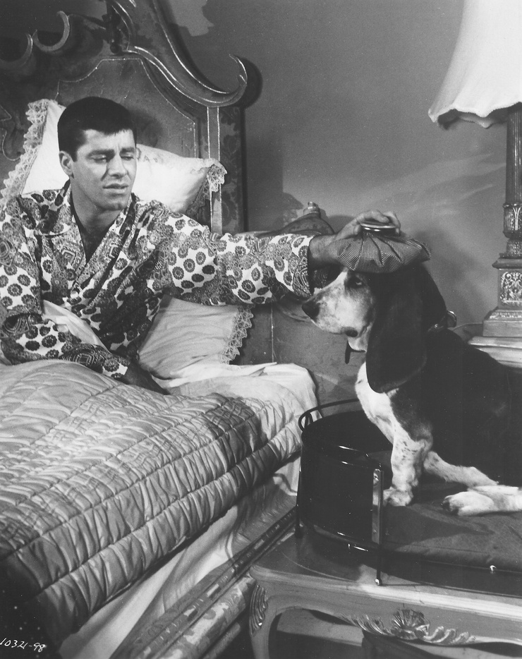 Picture of Living It Up