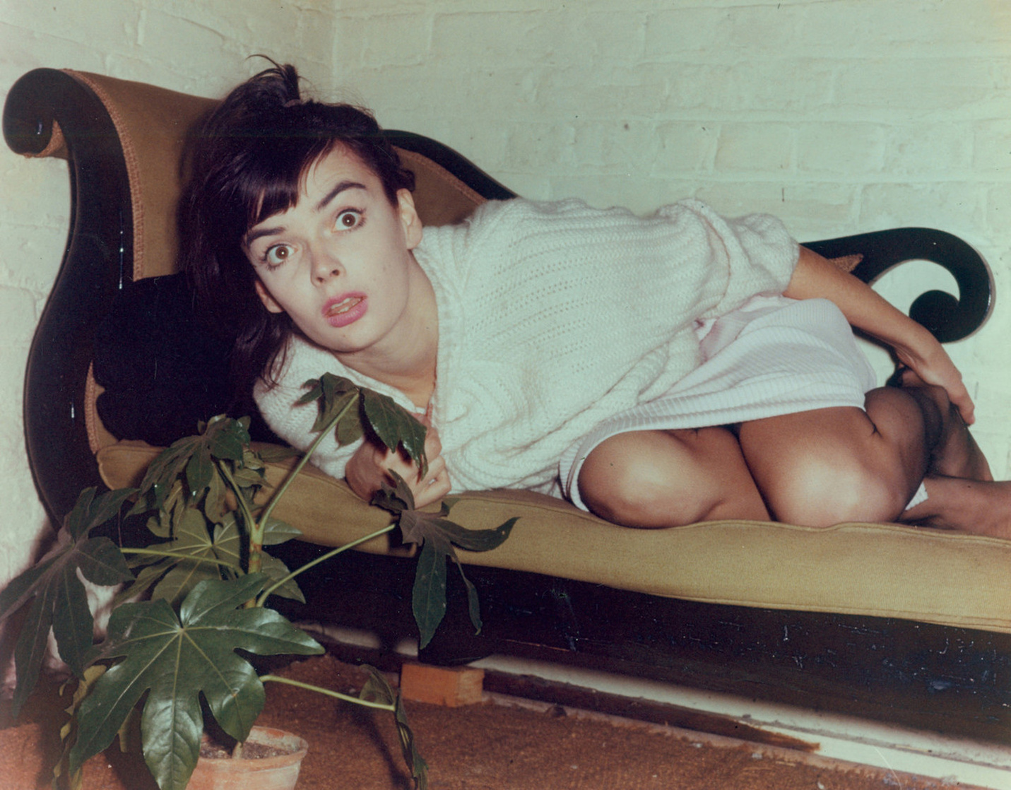 Barbara Steele Barbara Steele