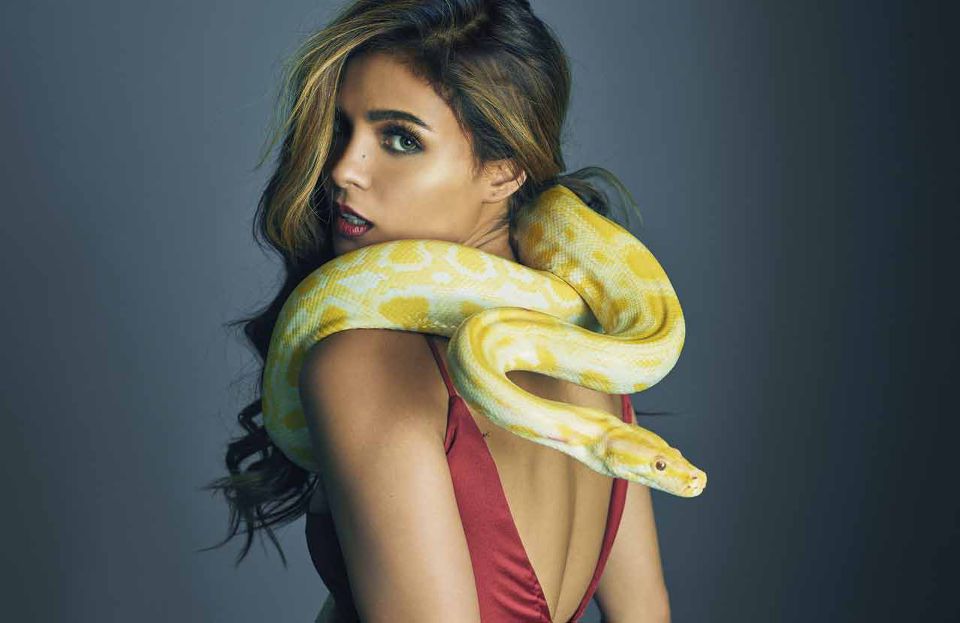 Lovi Poe