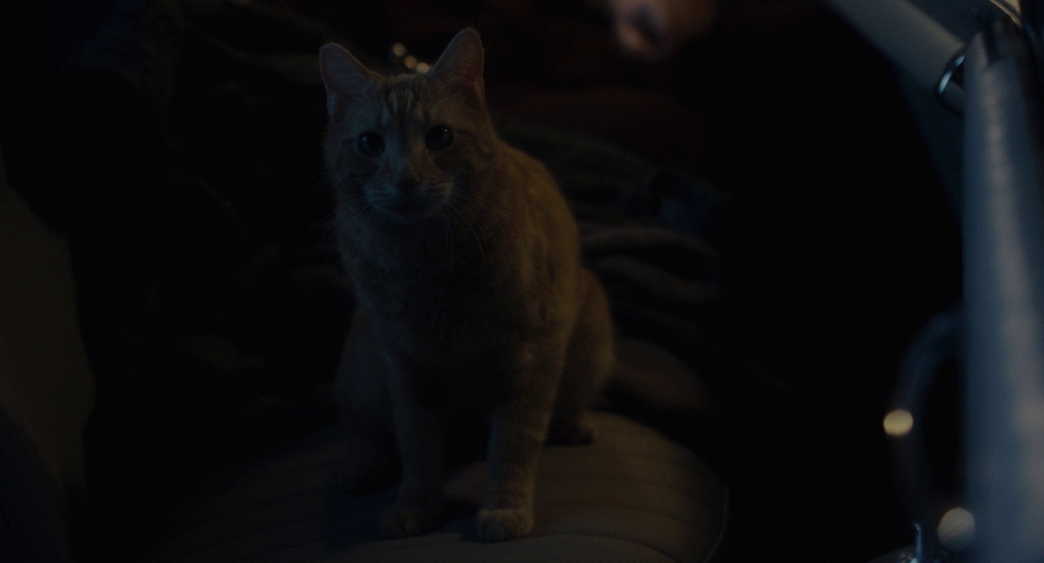 Inside Llewyn Davis