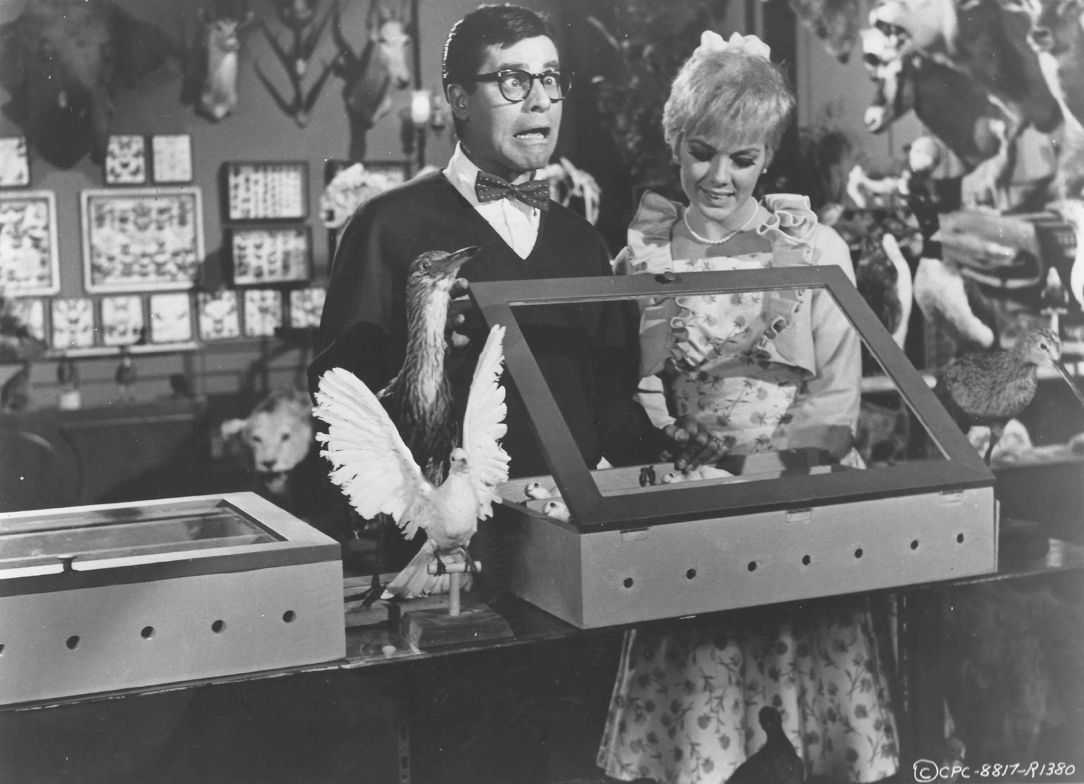 Image of 3 on a Couch