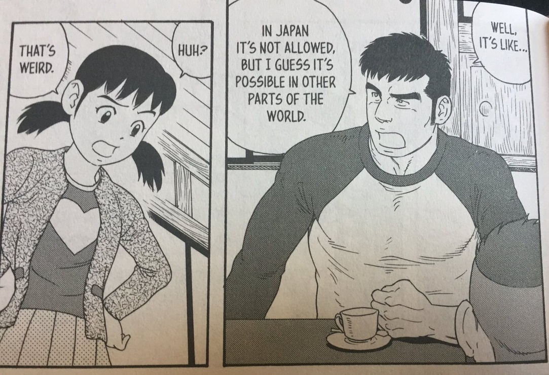 Picture of My Brother's Husband, Volume 1