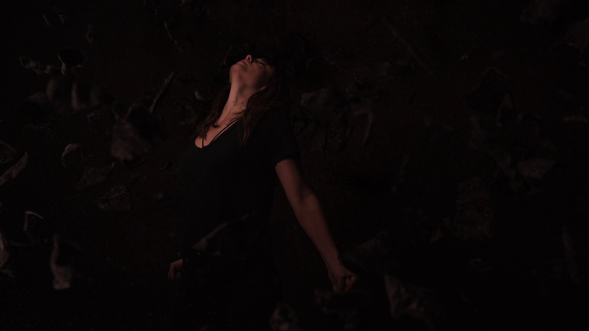 Agents of S.H.I.E.L.D.