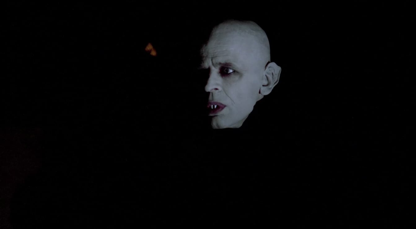 Nosferatu the Vampyre picture