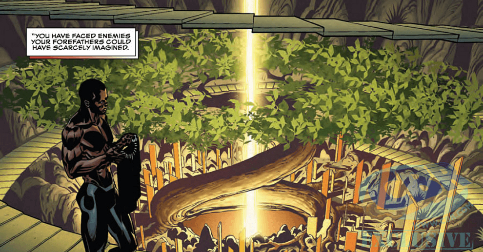 Black Panther: A Nation Under Our Feet Book 1