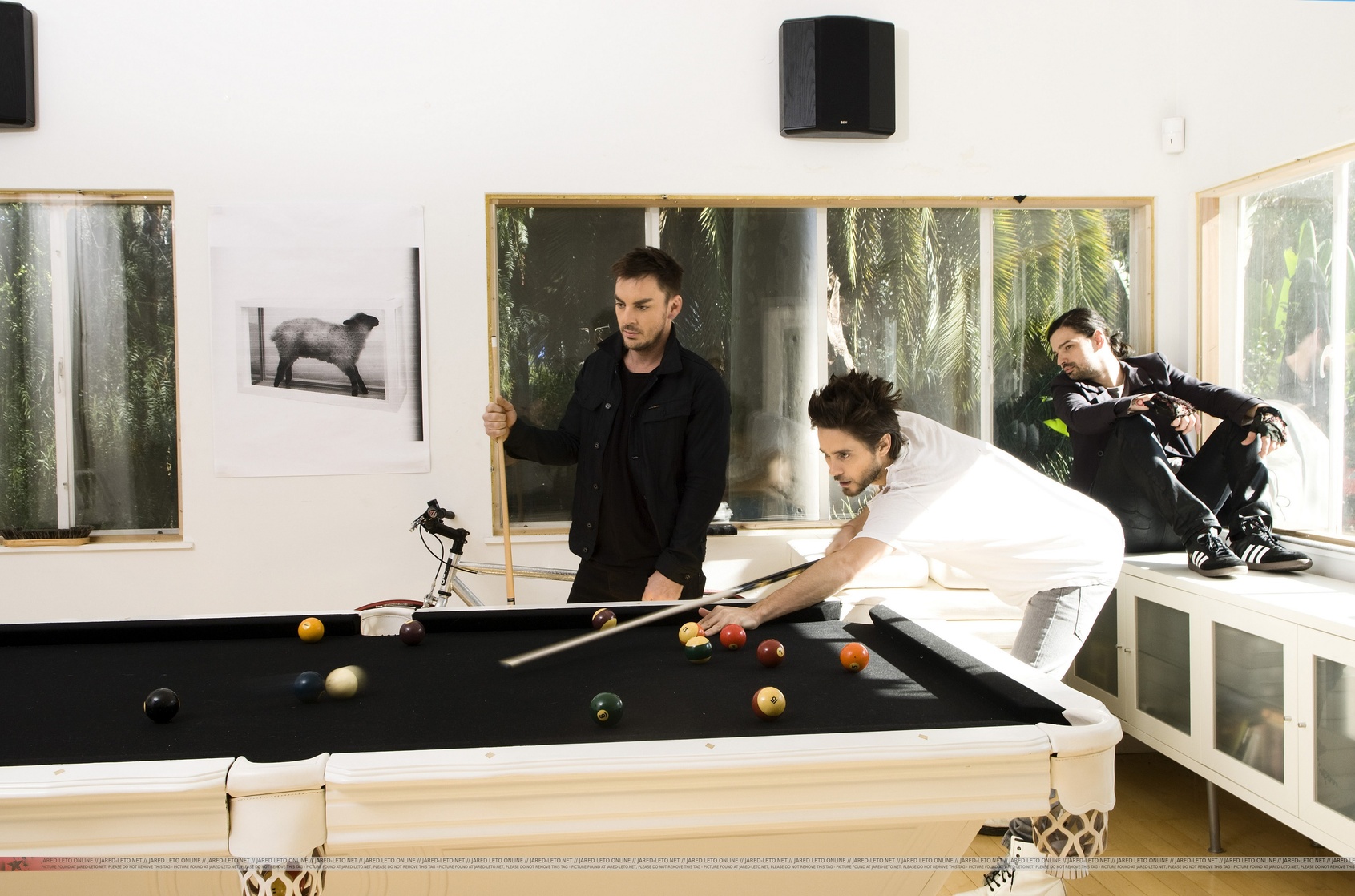 Shannon Leto