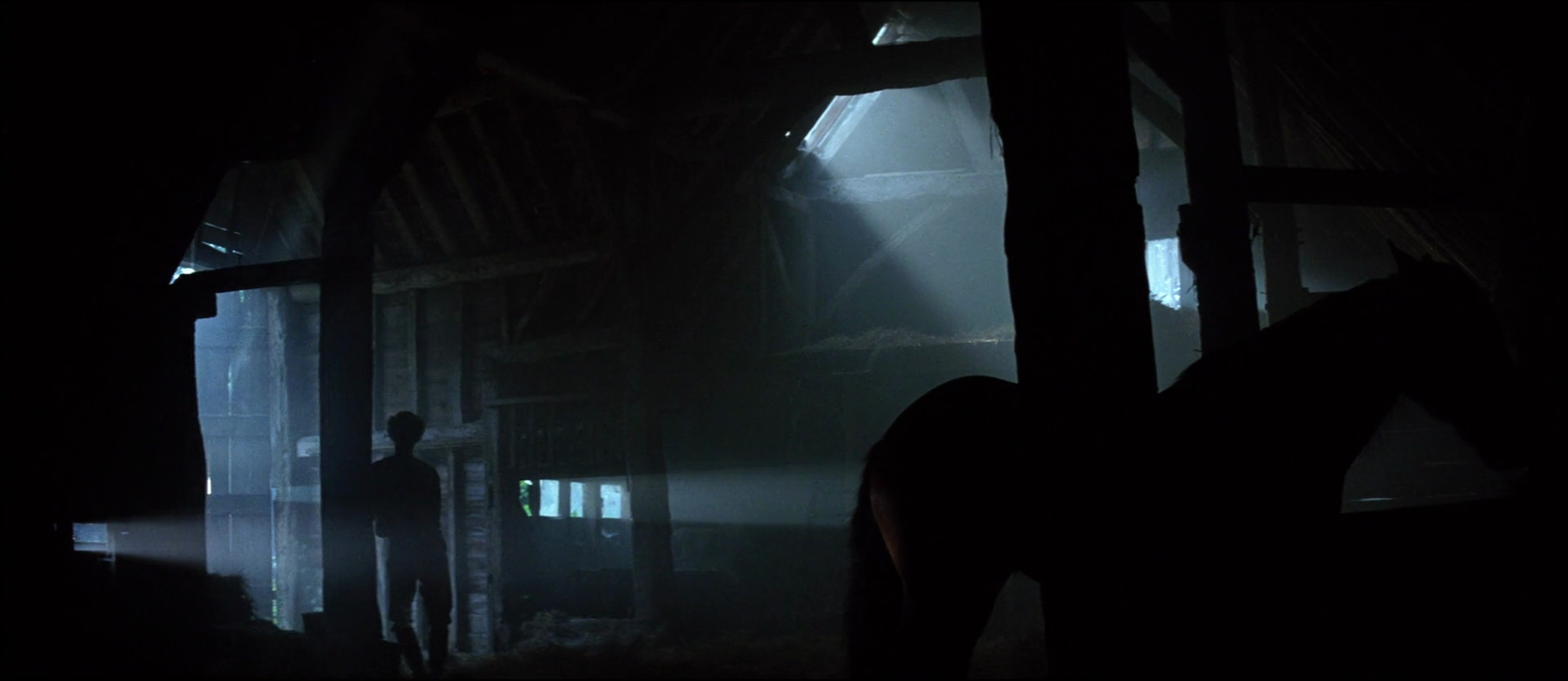 The Hunger (1983)