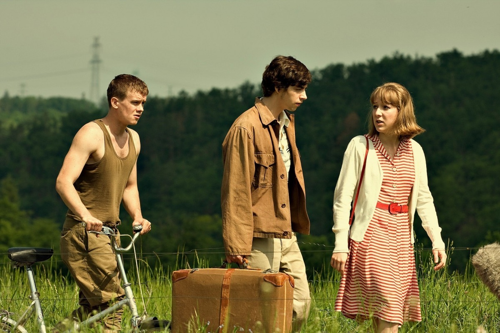 English Strawberries image