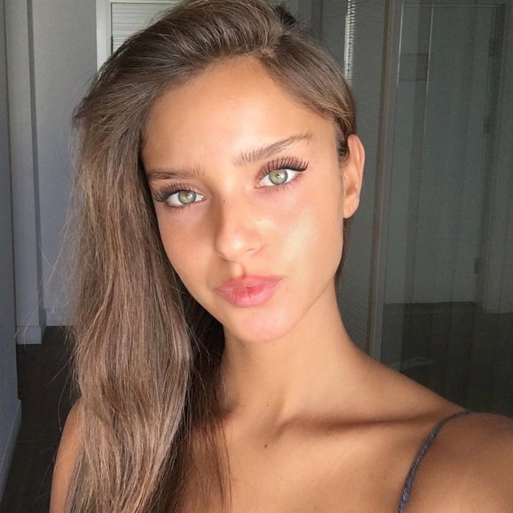 Neta alchimister фото