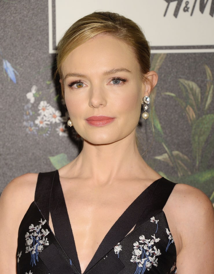 Picture Of Kate Bosworth