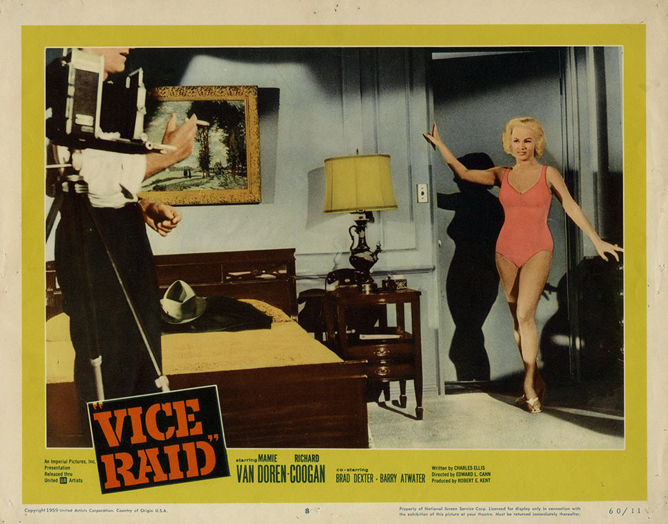 Vice Raid