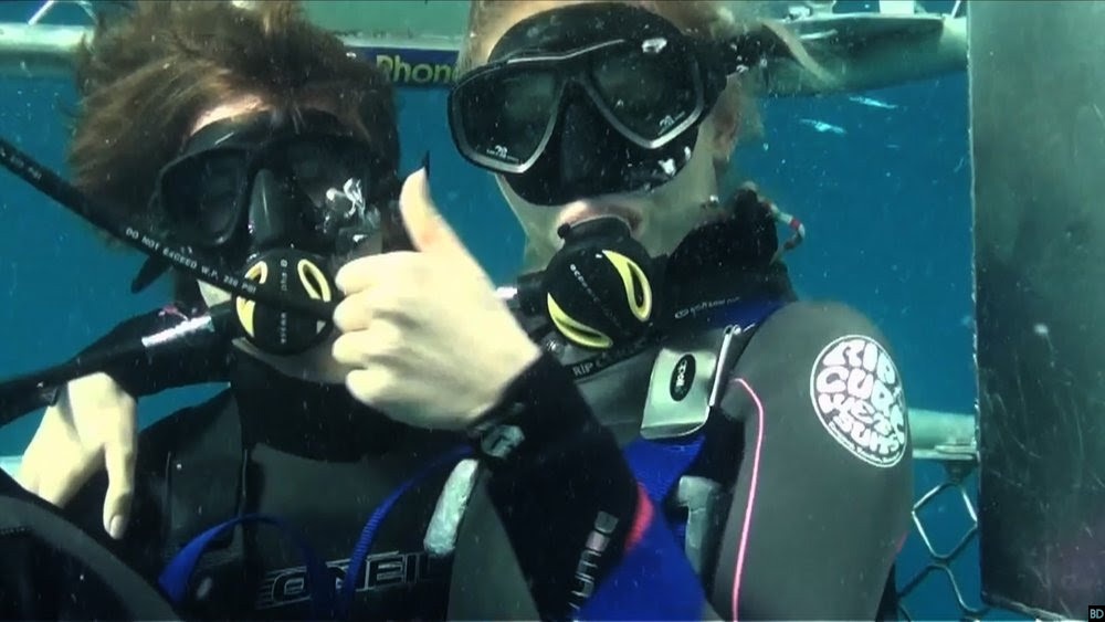 Picture of Open Water 3: Cage Dive (2017)