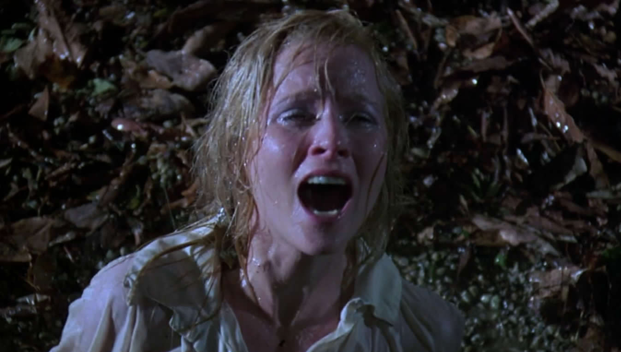 Friday the 13th Part V: A New Beginning