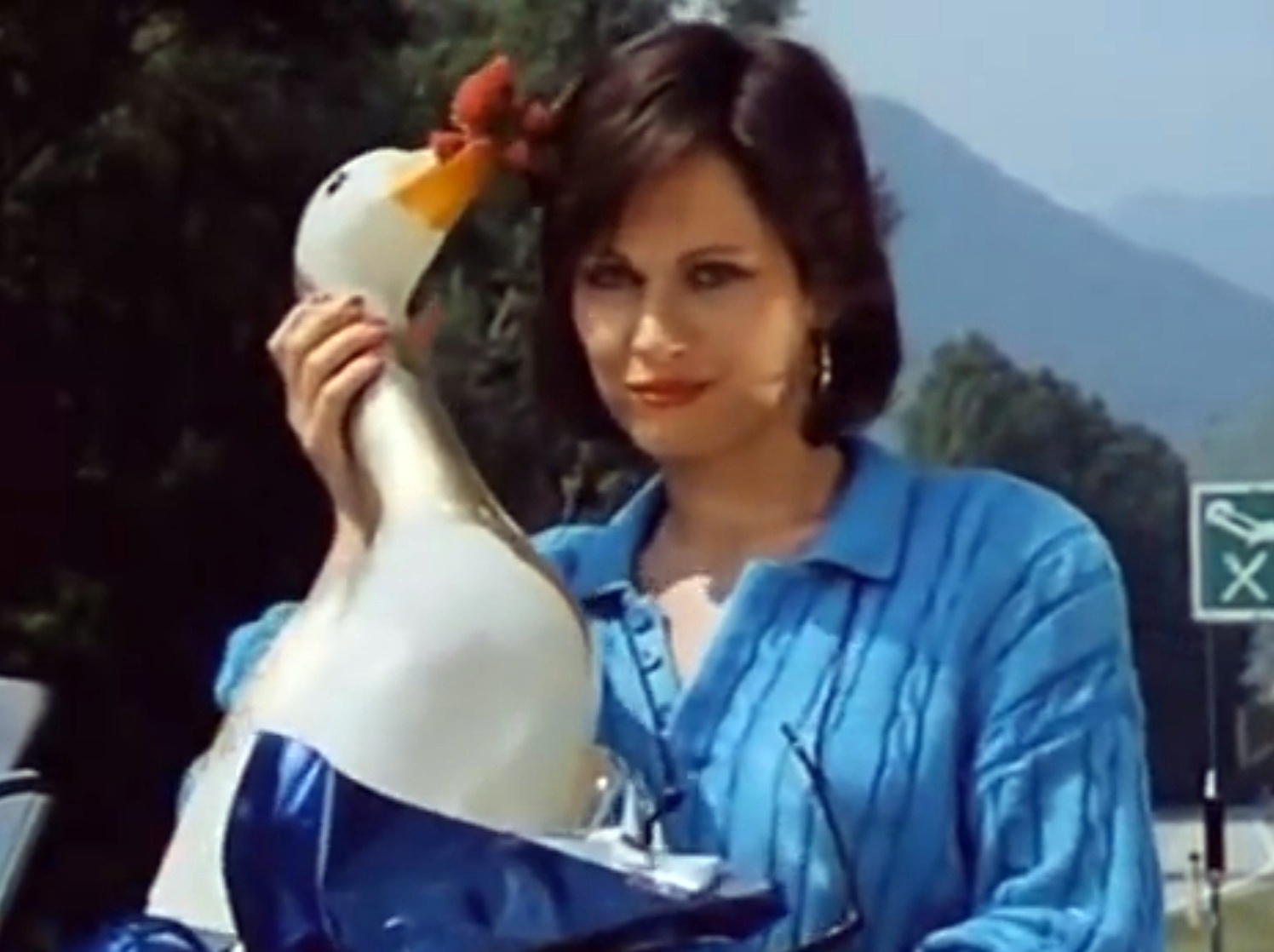 Auf Achse                                  (1980-1996)