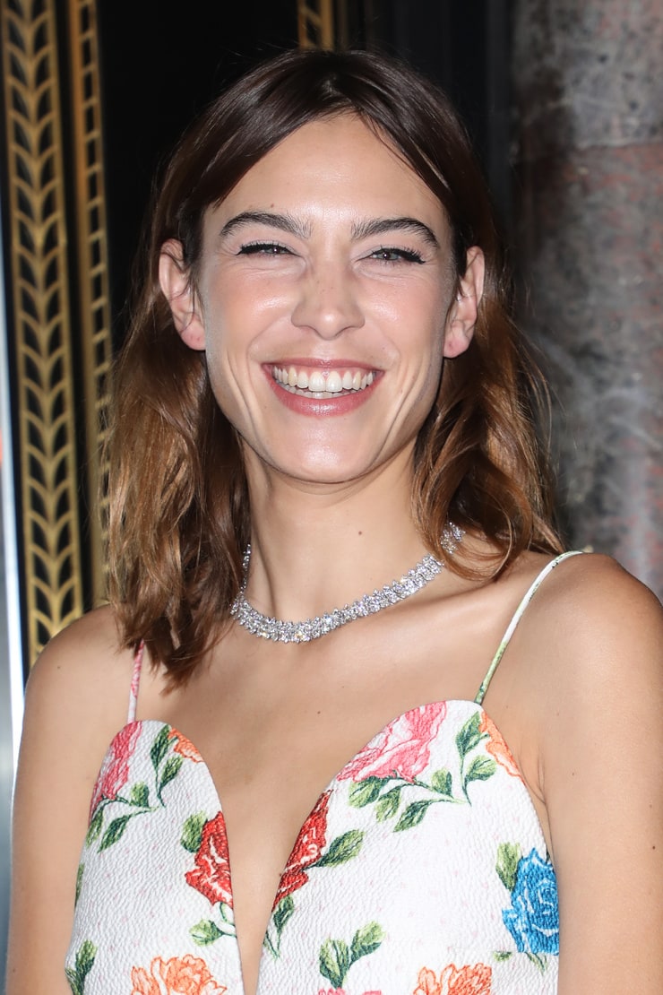 Picture Of Alexa Chung 
