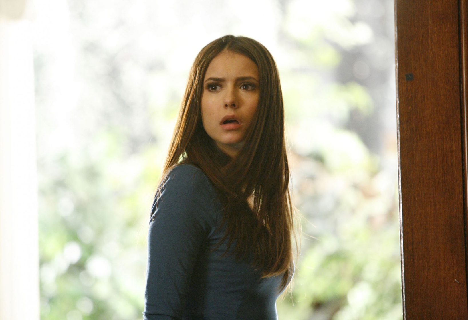 The Vampire Diaries