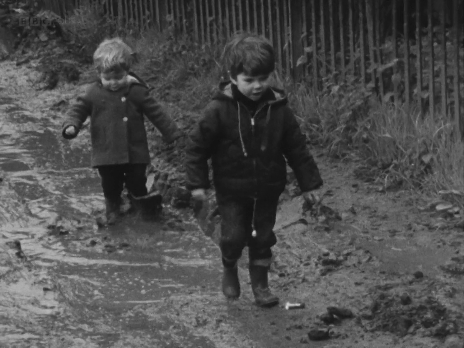 The Wednesday Play (1964)