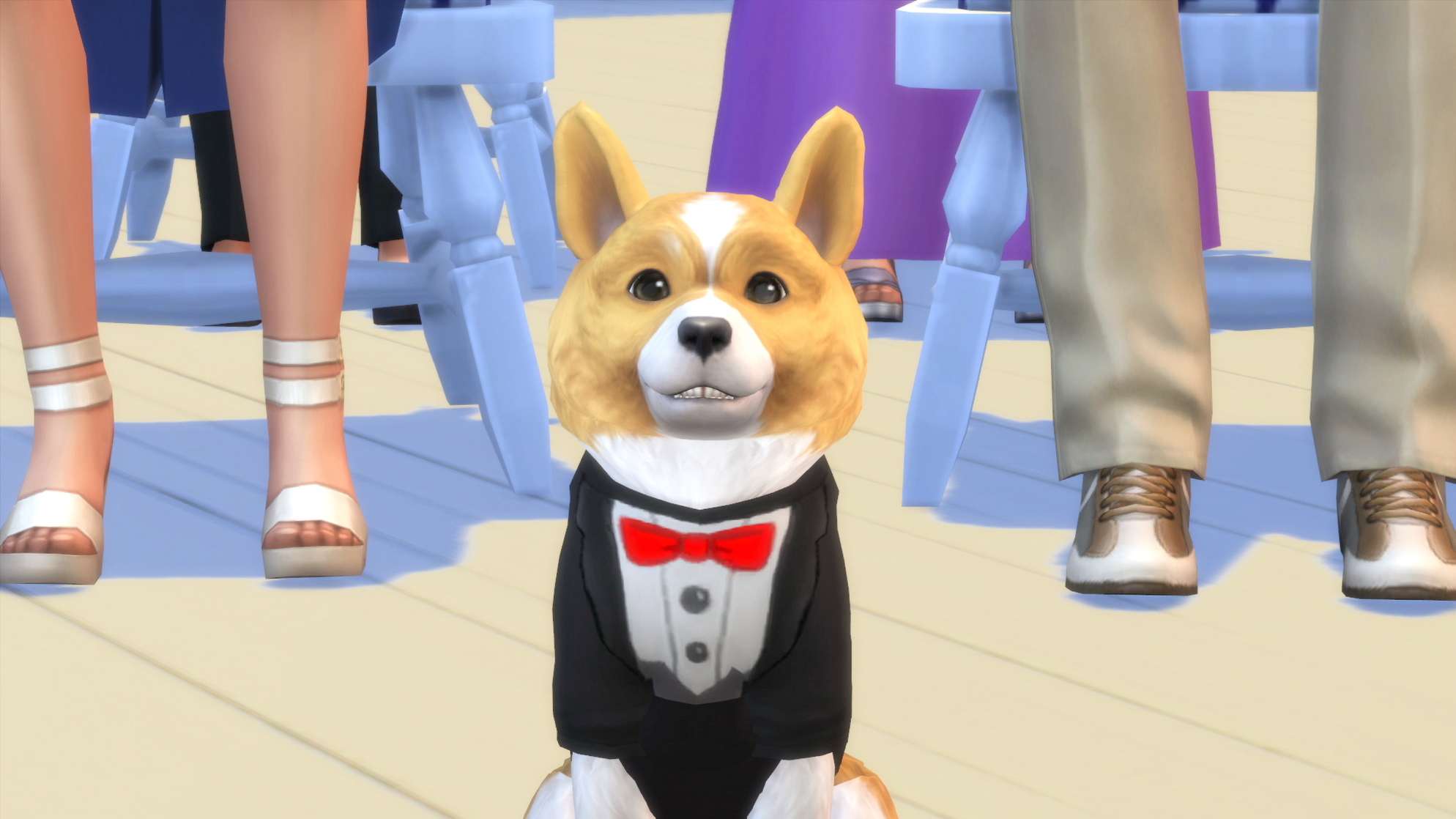 The Sims 4: Cats & Dogs