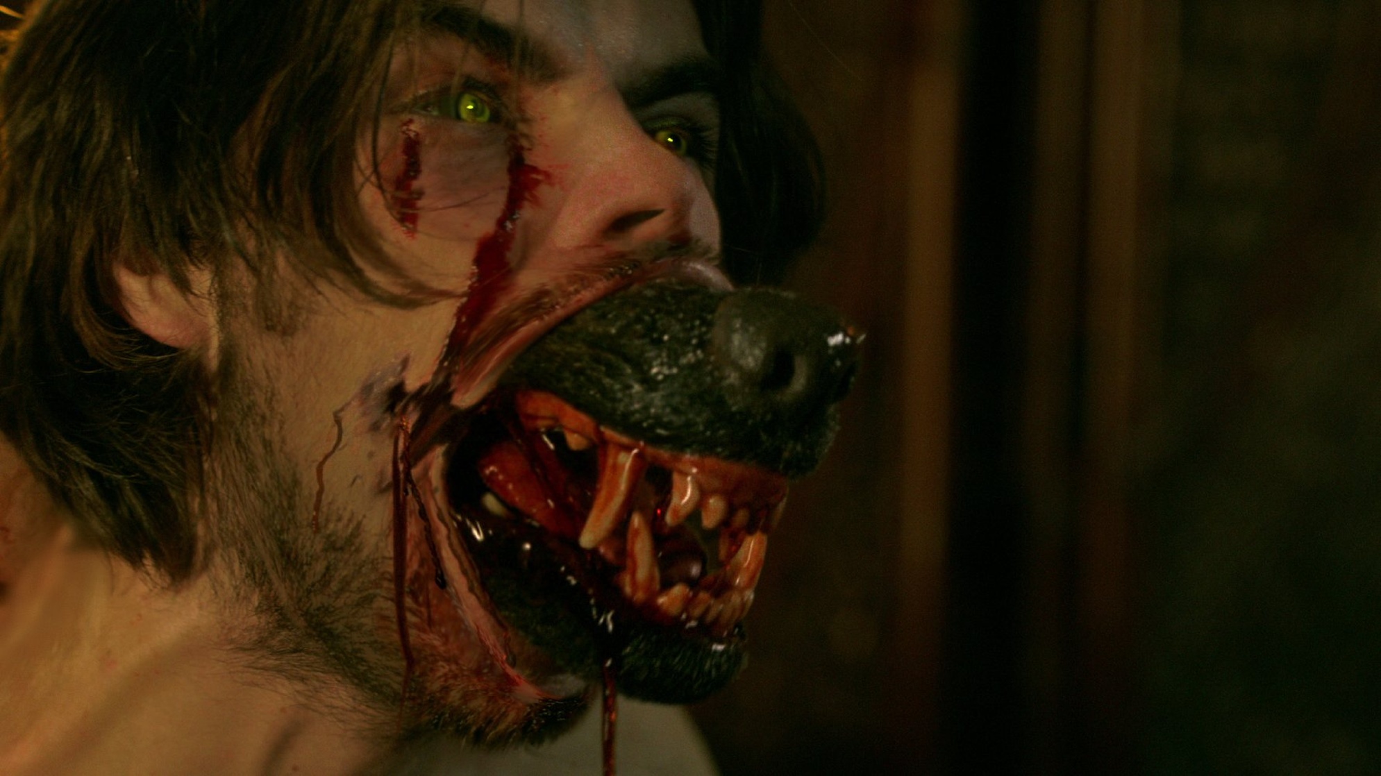 Hemlock Grove Hemlock Grove