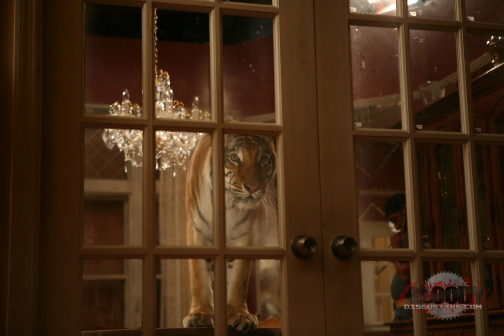 Burning Bright (2010)