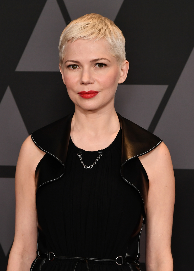 Picture Of Michelle Williams