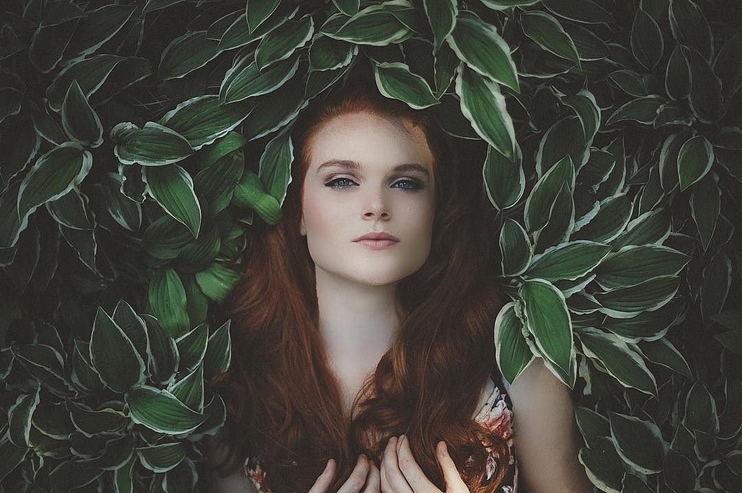 Kelly Mulvihill