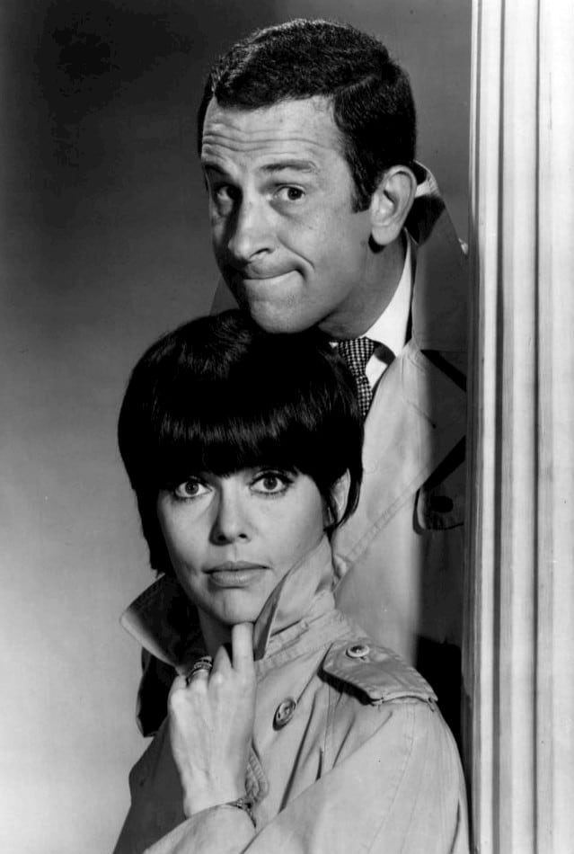 Picture Of Barbara Feldon