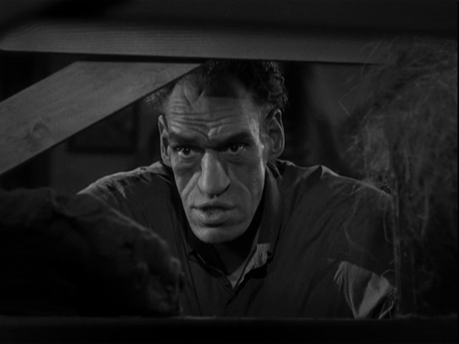 Picture of House of Horrors